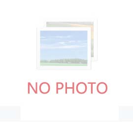 粮安天下——专家解读《中国的粮食安全》白皮书